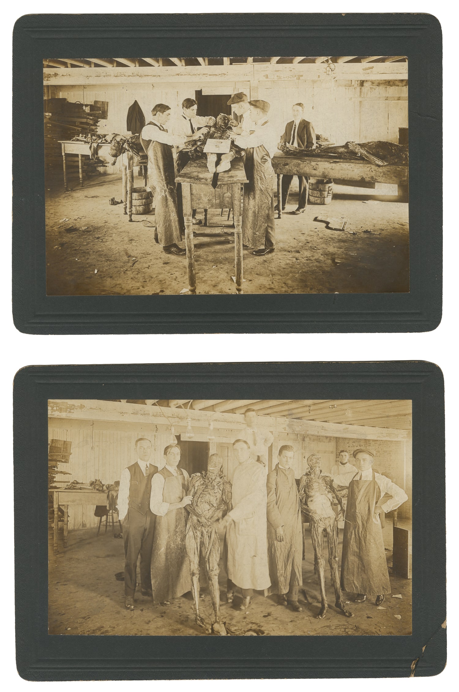 Pair of Mounted Anatomical Dissection Photographs, Northwestern University. Chicago: 1916.: Pair of Mounted Anatomical Dissection Photographs, Northwestern University. Chicago: 1916. Sepia-toned photographs mounted on cardstock. The first shows a group of students working on a cadaver, with 