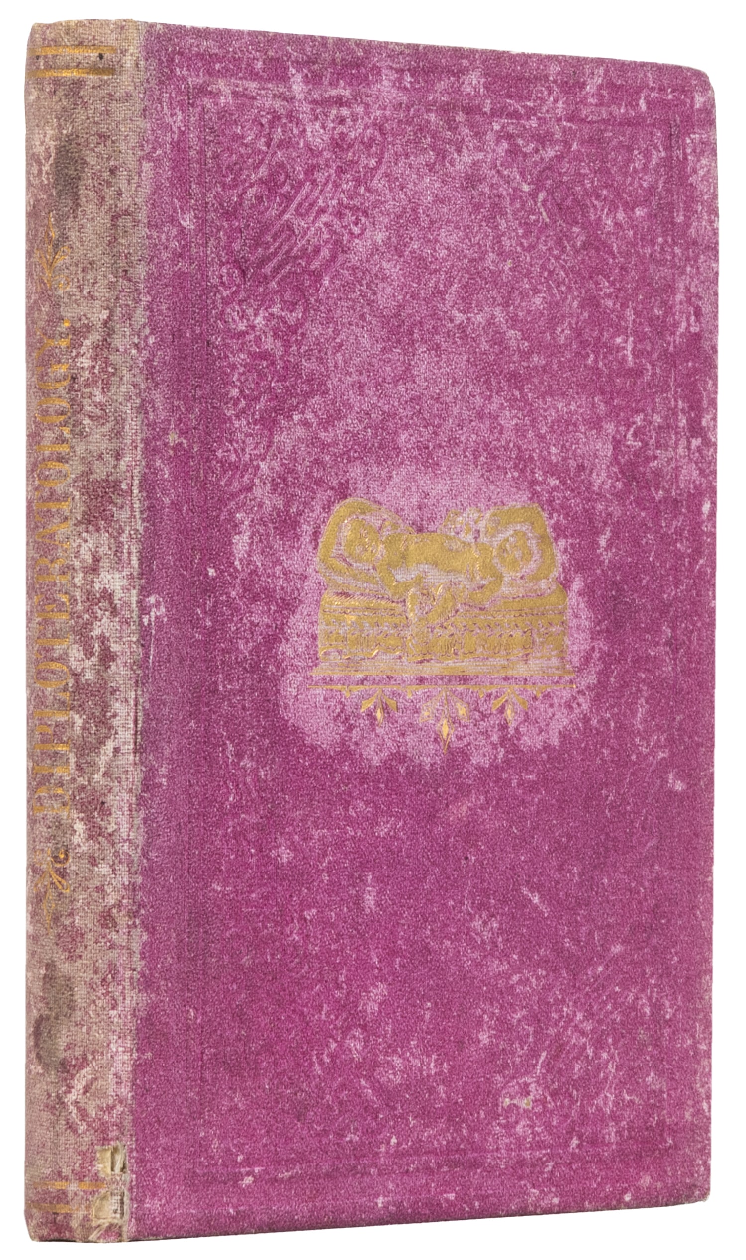 BESSE, H. Diploteratology: or a history of some of the most wonderful human beings that have ever: BESSE, H. Diploteratology: or a history of some of the most wonderful human beings that have ever lived in double form. Delaware, OH: Gazette Stream Book and Job Office, 1874. 202 pp., illustrated.