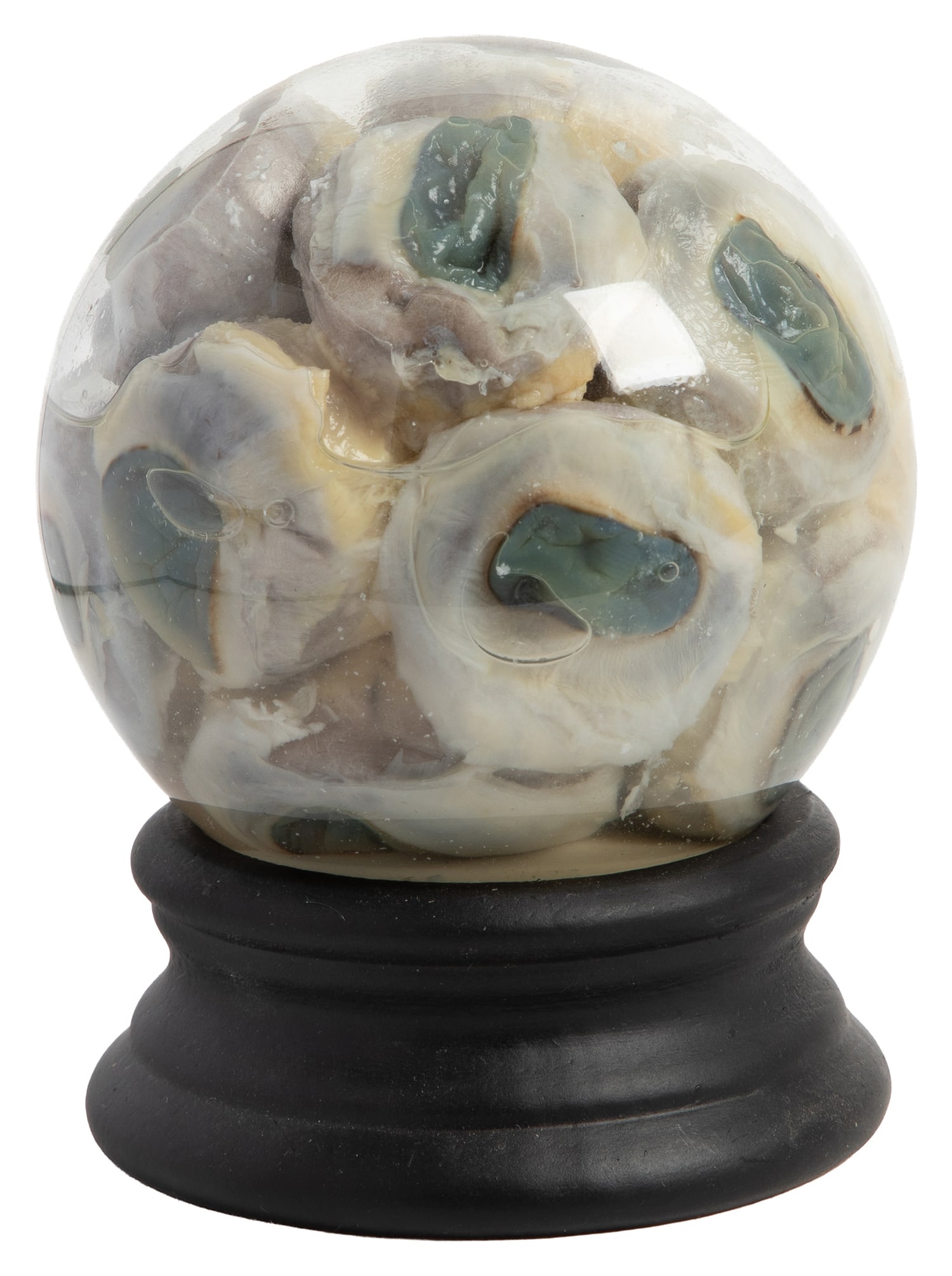 [TAXIDERMY]. Sheep Eyeball Wet Specimen Globe. [American], 21st century (1 of 2)