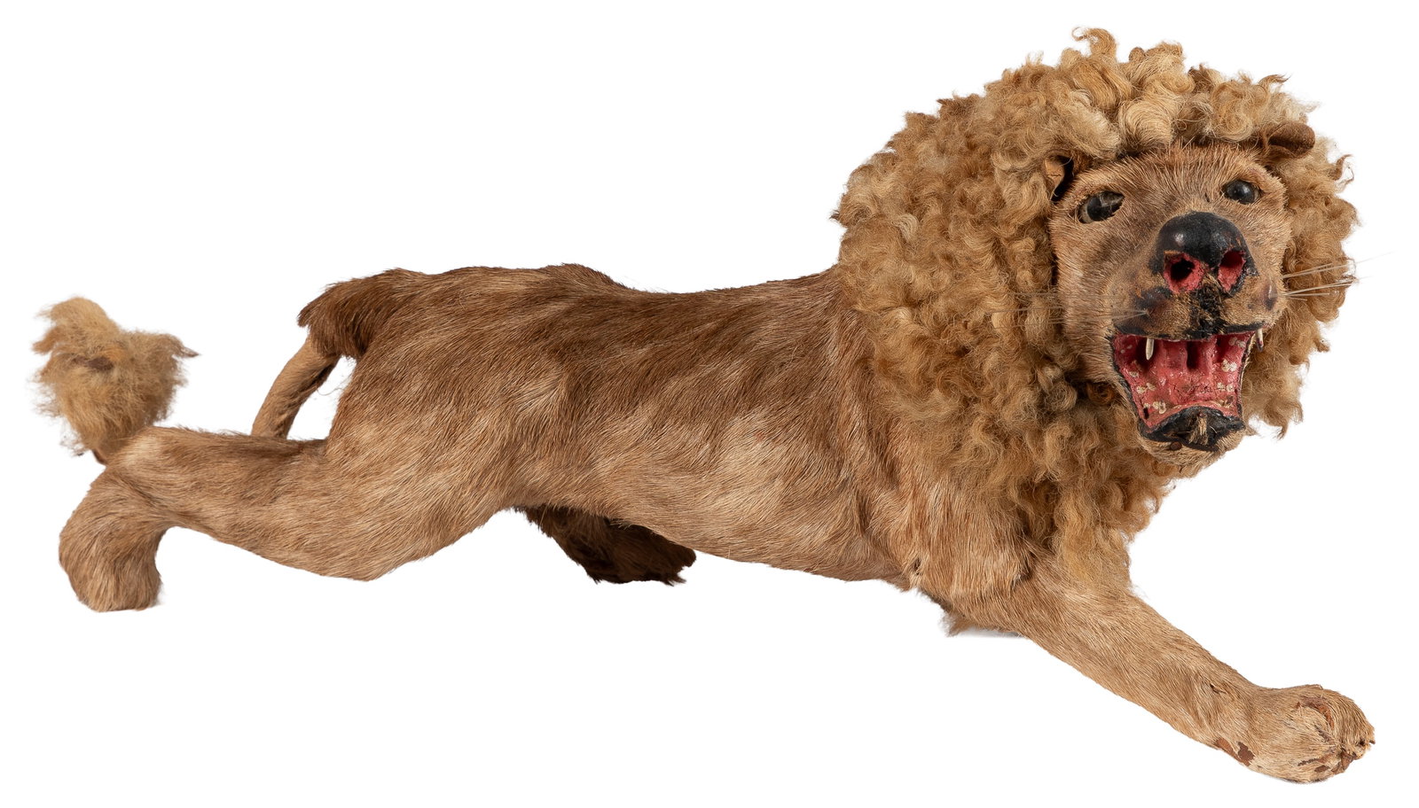 Victorian Era Miniature Lion Figurine With Real Fur. [American], late 19th century.: Victorian Era Miniature Lion Figurine With Real Fur. [American], late 19th century. Figural table-top sculpture crafted to resemble a male lion. Fabricated with a real hide exterior and a papier-m