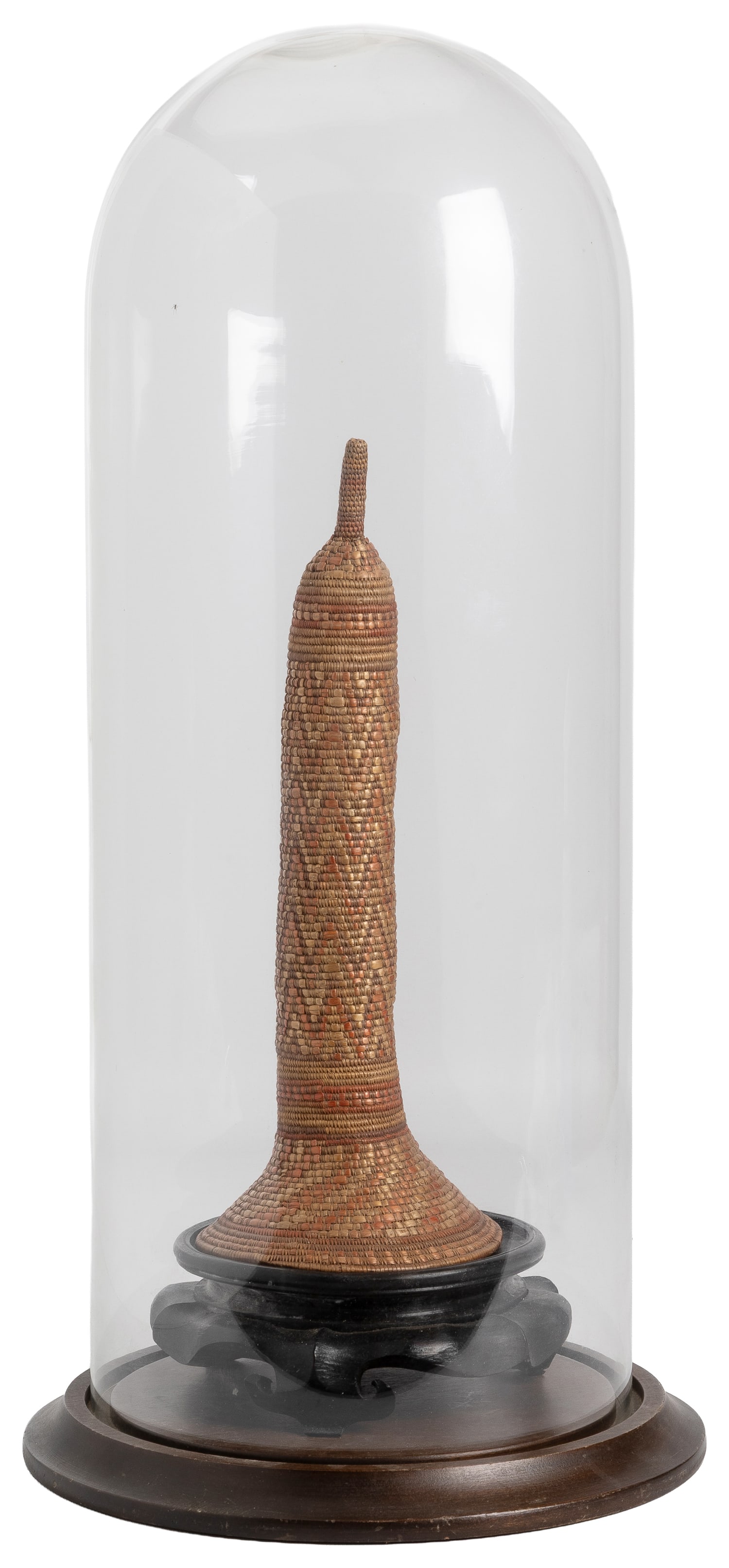 Phallocrypt (Koteka) penis gourd.: Phallocrypt (Koteka) penis sheath. New Guinea. An intricately woven phallocrypt, on wooden stand, with domed glass display. Length approx. 11 1/4"; display 21 x 9 x 9". Collection of James Brucker,
