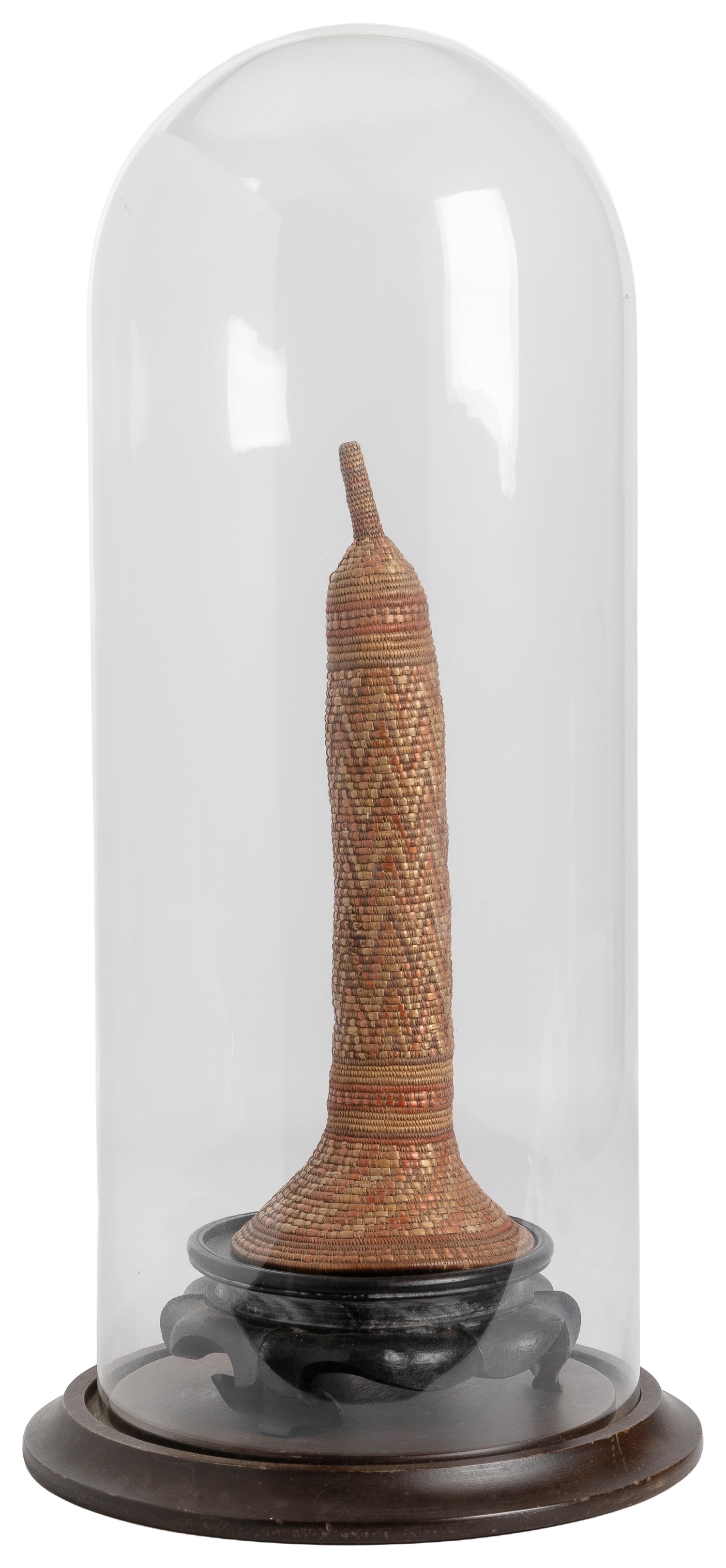Phallocrypt (Koteka) penis gourd. - 2