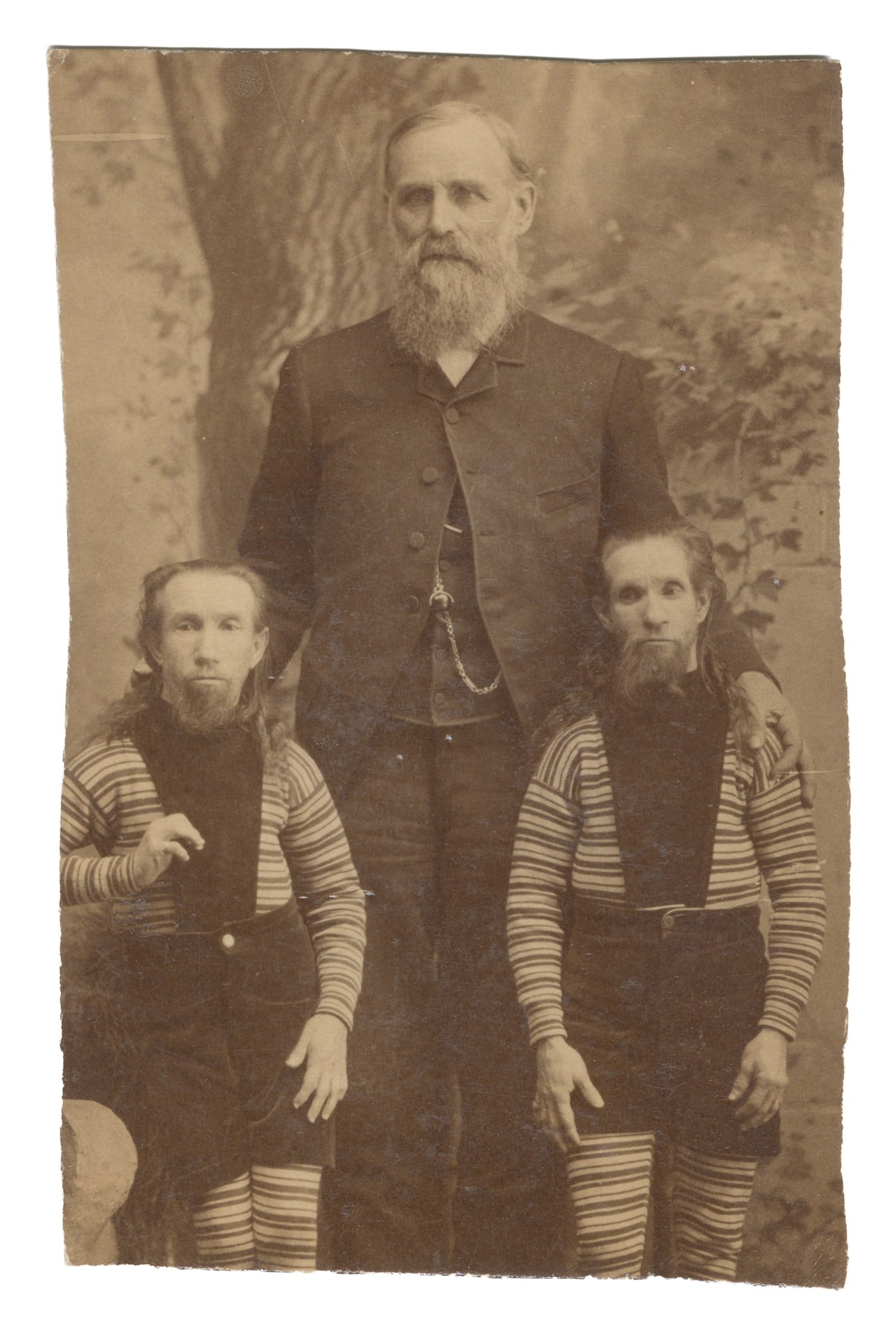 Cropped Cabinet Card of Waino and Plutano, P.T. Barnum's "Wild Men of Borneo." Circa 1850s-1880s. (1 of 1)