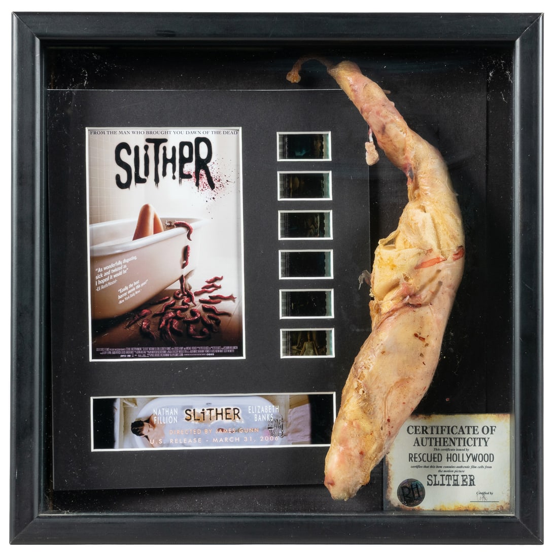 [CINEMA]. Prop Alien Parasite from the Film, "Slither." [Hollywood: ca. 2006].: [CINEMA]. Prop Alien Parasite from the Film, "Slither." [Hollywood: ca. 2006]. Foam and silicon alien parasite worm, approximately 12" long, framed in shadow box with six film cells, promo postcard,