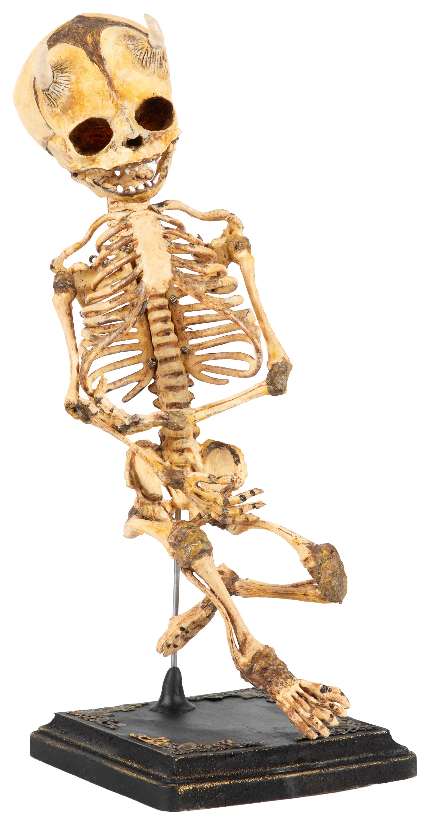 Life-sized Skeleton of a Demon Baby.: Life-sized Skeleton of a Demon Baby. A wonderfully detailed and hand-painted item, featuring small horns on forehead and pointy teeth. Includes a wooden base with gold accents. Height including base: