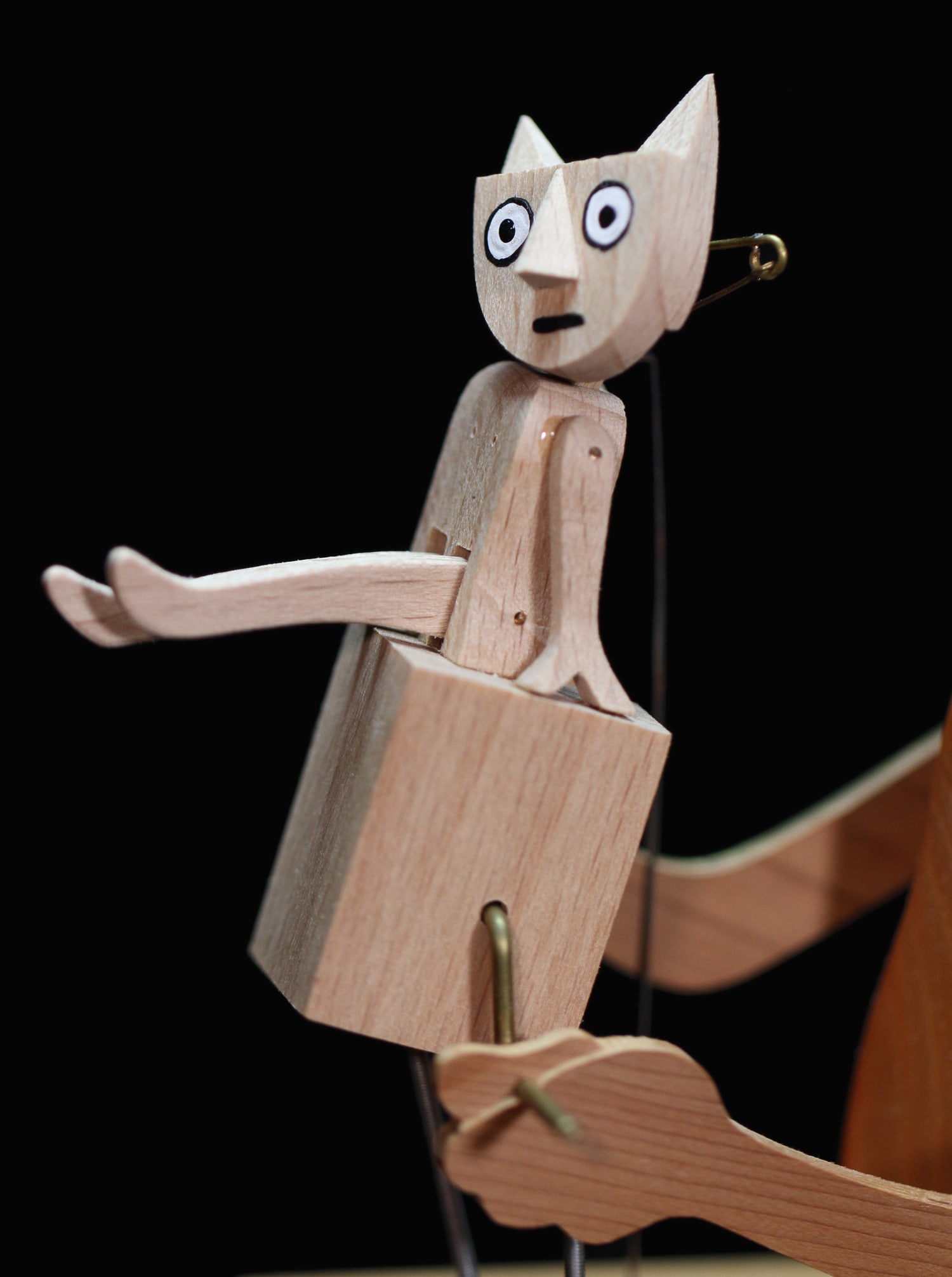 Barecat Automaton. - 3