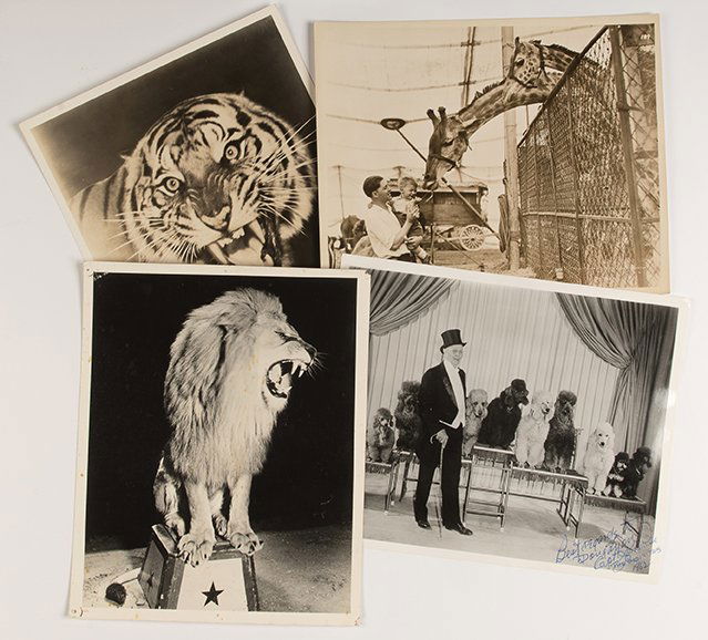 Circus Animals Photo Archive. 1920s – 1940s. Forty-two (1 of 1)