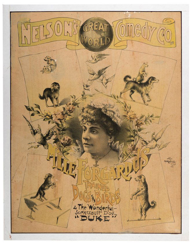 Nelson’s Comedy Co. Mlle. Forgardus Trained Dogs & (1 of 1)
