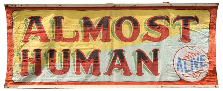 Almost Human. Alive. American, third or fourth quarter (1 of 1)