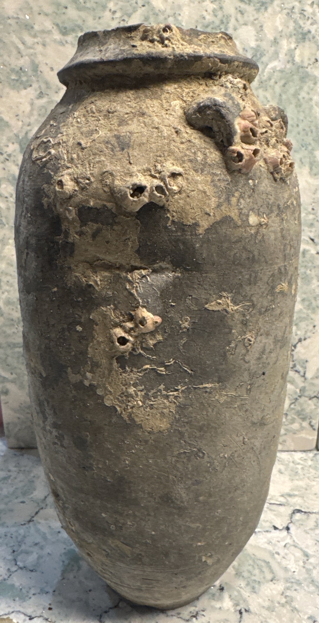 Barnacle-Encrusted Stoneware Jar with Three Remaining Lug Handles 4 5/8" x 10 3/4": Tall, slender stoneware jar originally fitted with four lug handles—one now missing. The surface is richly textured with barnacle clusters, marine concretions, and mineral accretions. The rim displa