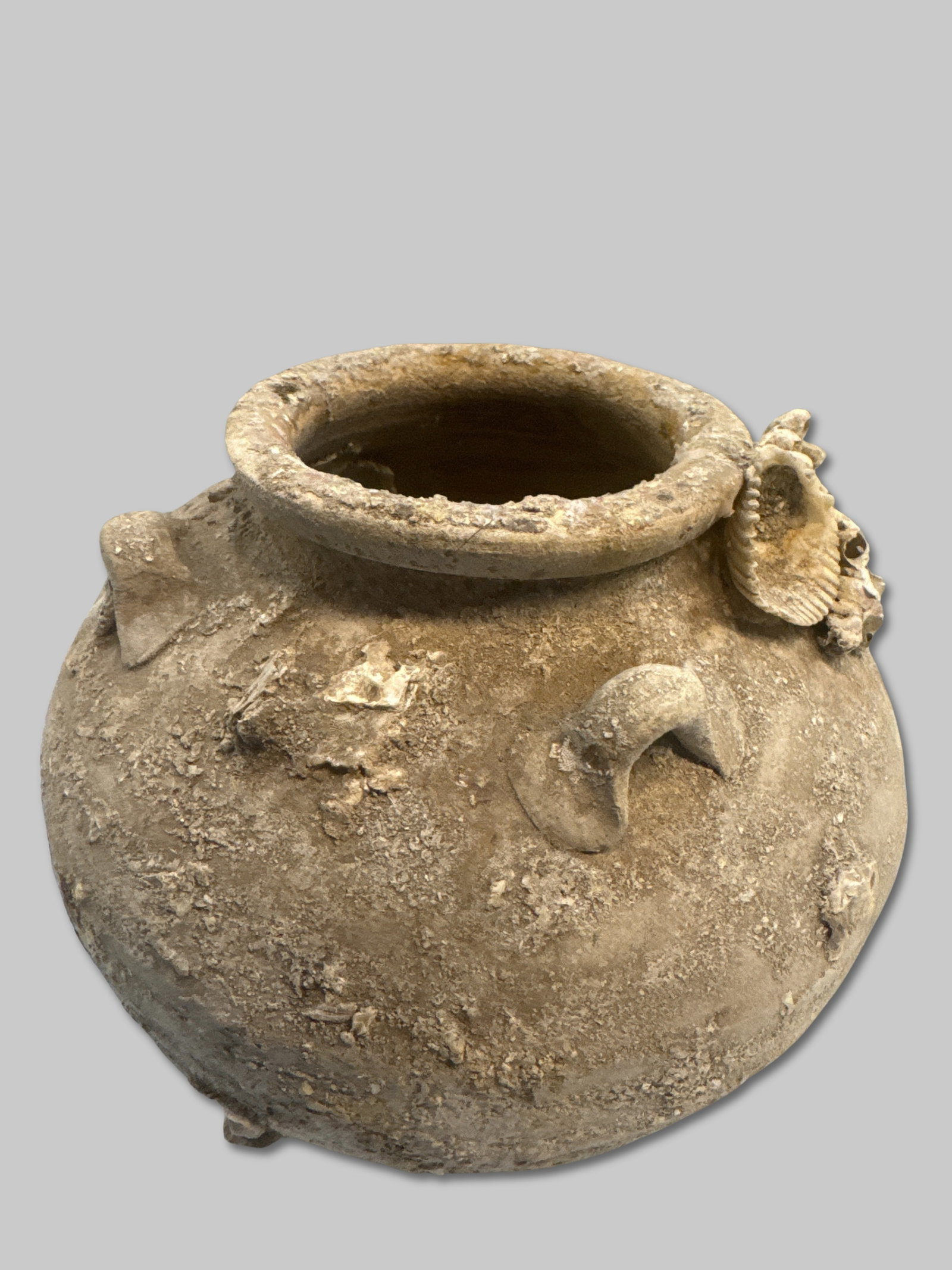 Heavily Encrusted Stoneware Jar with Four Lug Handles 7 1/2" x 6 3/8": Robust, wide-bodied stoneware jar featuring four intact lug handles and an extremely dense layer of marine encrustation. Surface is heavily frosted with sediment, shell material, and marine calcificat