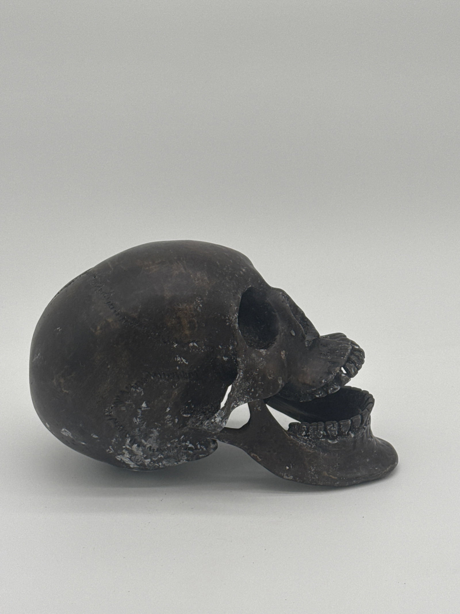 Hollow Cast Bronze Skull with Fixed Open Jaw 5.5" x 5.5" x 10.25": "This life-sized hollow bronze skull sculpture features a realistic anatomical rendering with a fully open mouth and fixed jaw. Cast in bronze with a dark, aged patina, the piece bears convincing cran