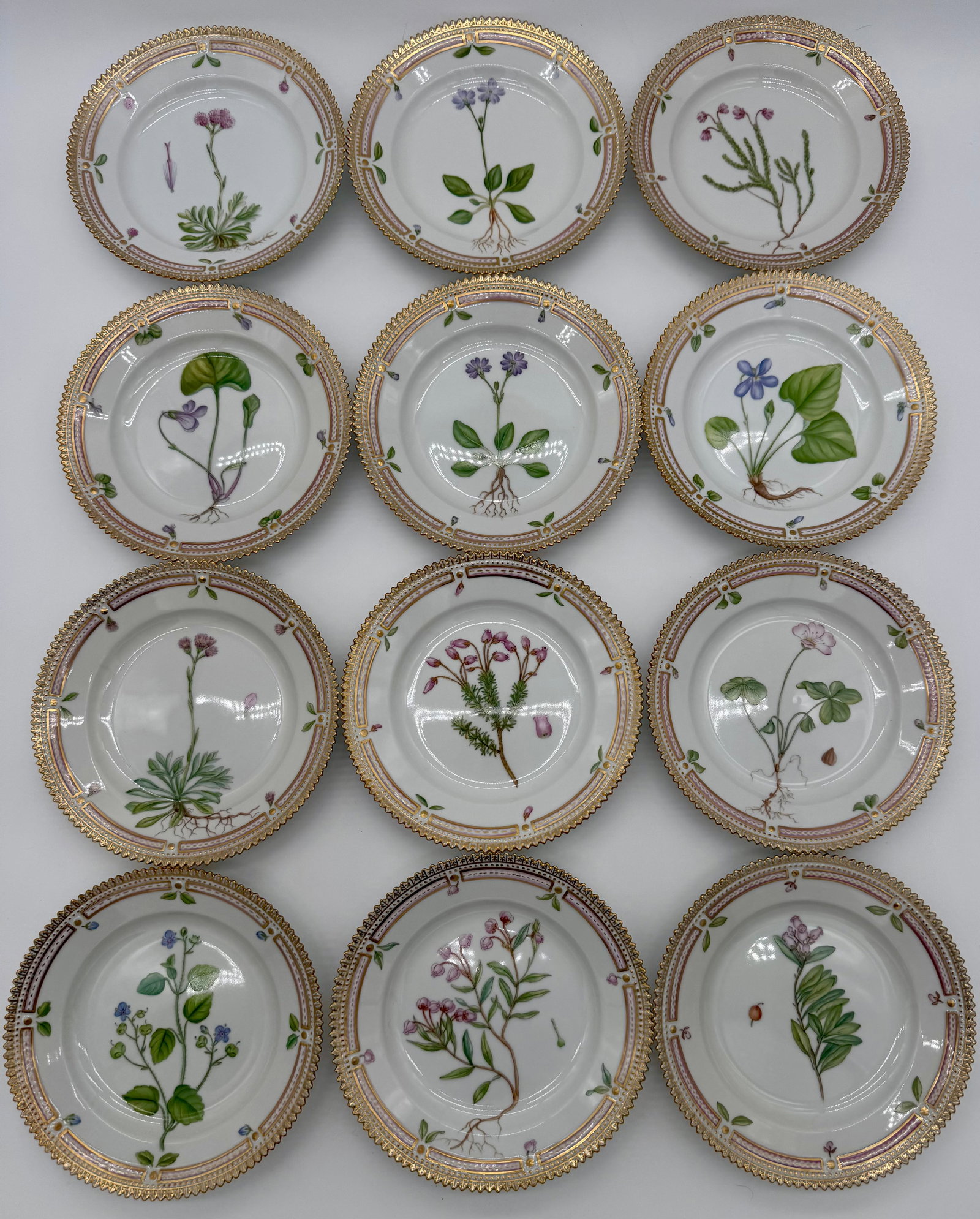 Royal Copenhagen 'Flora Danica' 6 1/2 Inch Dessert Plates (Set of 12): Set of twelve Royal Copenhagen 'Flora Danica' 6 1/2 inch porcelain Dessert plates, model number 3546. Each piece is delicately hand-painted with unique botanical illustrations, encircled by Flora Dani