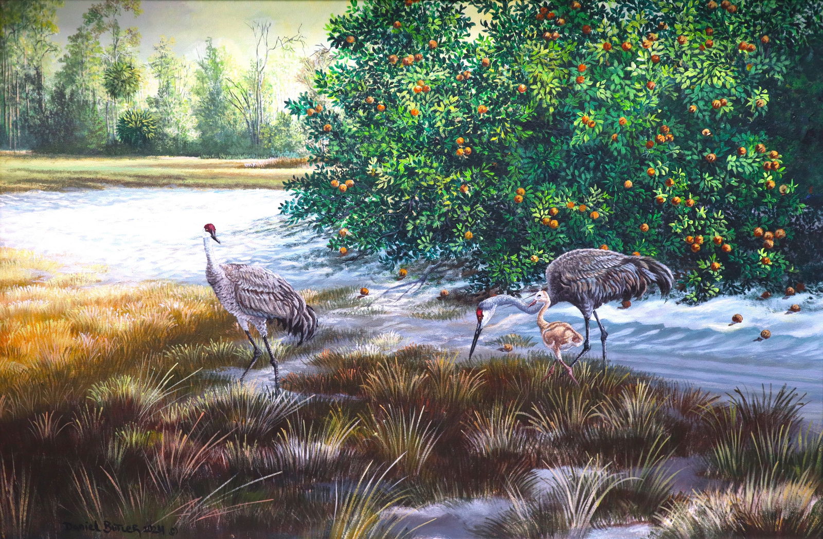Daniel Butler, 'Big Birds', Canvas Oil Painting, 23"x35: Artist: Daniel Butler Painting Size: 23"x35" Frame Size: 28"x40" Surface: Canvas Medium: Oil Paint Art Description: D But 3 big birds Artist Bio: Daniel Butler, native to Okeechobee, FL. Son of Florid