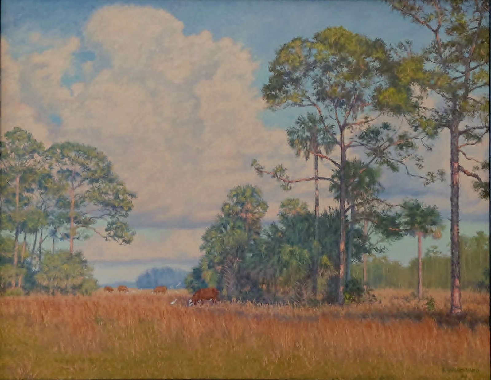 Scott Woodward Painting 22x28 'Cows In The Backcountry' - Indian River School artist: Scott Woodward - A.E. Backus contemporary - Indian River School artist. Oil painting 22 x 28 on canvas 'Cows in the Backcountry'. Beautifully painted, with great detail and rare subject matter. 26.5 x