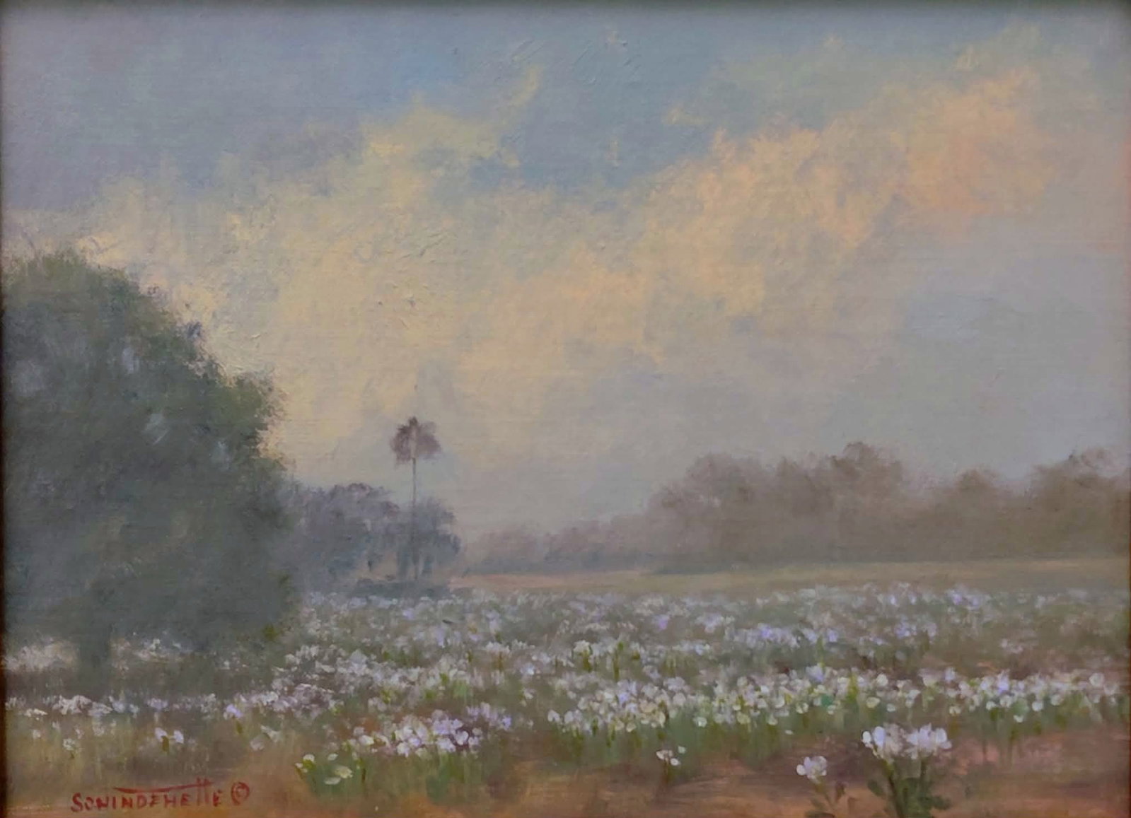 Jackie Schindehette Painting 9x12 'Wildflowers' - Indian River School Artist, Backus formal student: Schindehette, Jackie L. - Indian River School Artist, a formal student of A.E. Backus, sharing his studio for 10 years. Oil painting on canvas 'Wildflowers' 9 x 12. Very finely painted backcountry sce