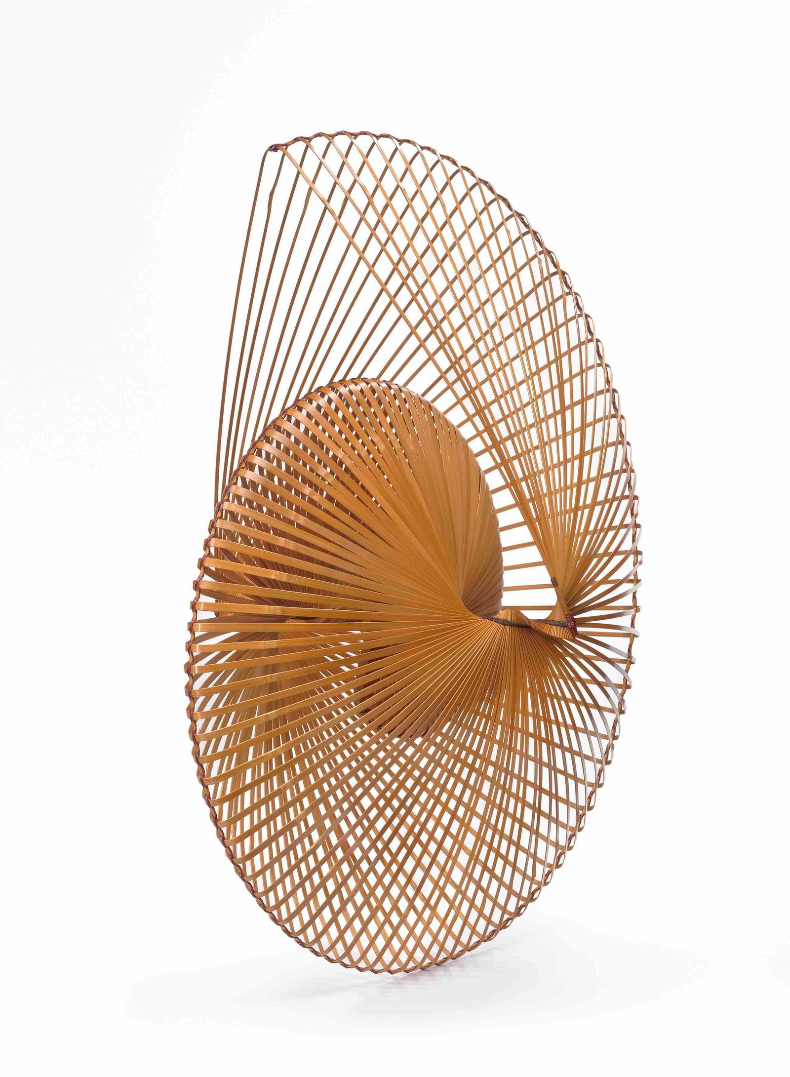 Mareta Shell (1 of 3)