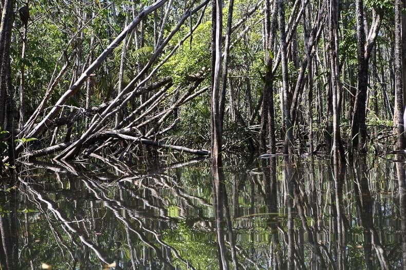 Eduardo Marco (born in 1970) Amazonia Photographic print Date of creation: 2018 H170 L230 cm A (1 of 3)