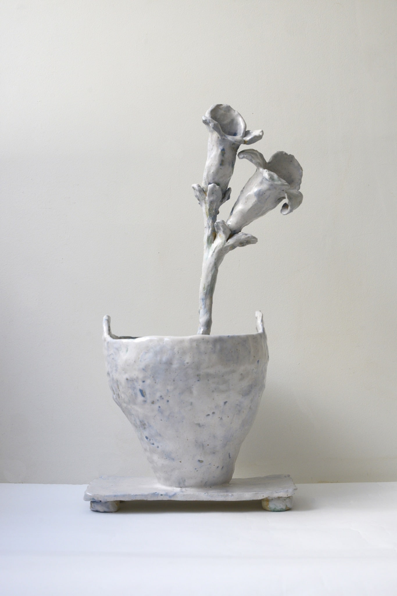 Juliette Teste (born in 1986) Ghost Flower Stoneware, glazes, slip Date created: 2026 H53 L22 P29 (1 of 3)