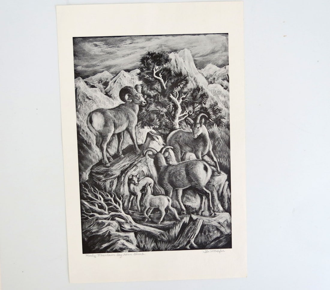 Ila McAfee "Rocky Mountain Big Horn Sheep" Signed Lithograph on Paper (1 of 4)