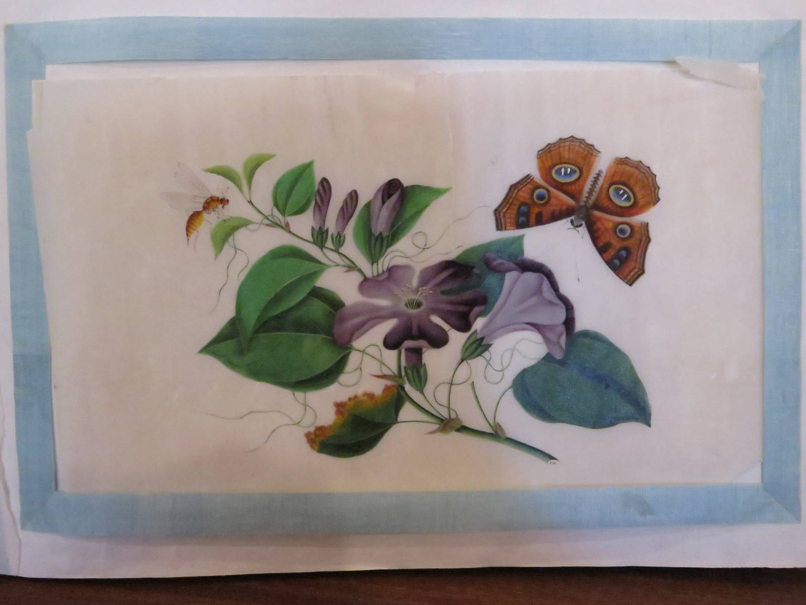 Sunqua Portfolio of Eight Botanical Watercolors