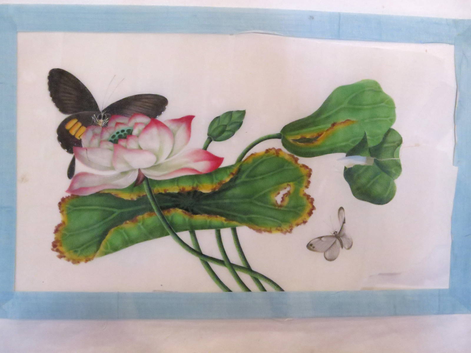 Sunqua Portfolio of Eight Botanical Watercolors