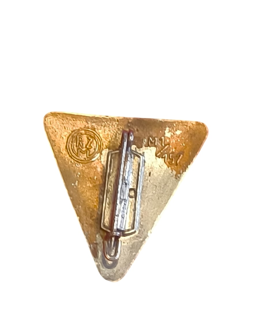 WWII German Third Reich Frauenschaft Women's Membership Brooch - 2