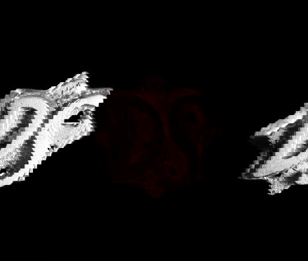 Charlie's "DS" ring: Charlie's "DS" ring. This ring, bearing the initials, "DS," was worn by Charlie on his right hand middle finger and is a Pace family heirloom. It bears the initials of Dexter Stratton, Charlie's great