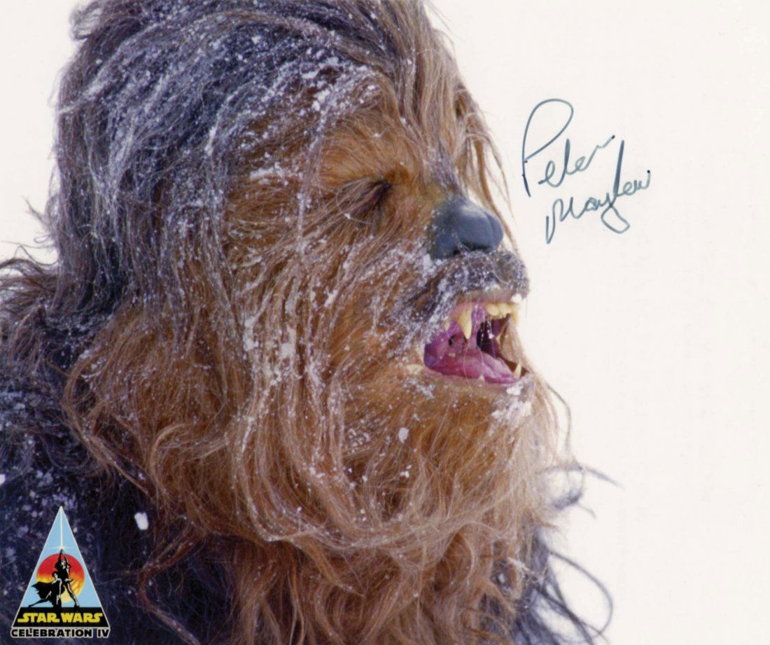 STAR WARS PETER MAYHEW ORIGINAL “CHEWBACCA” HEAD - 6