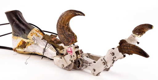 1038: ARTICULATED RAPTOR FOOT FROM JURASSIC PARK