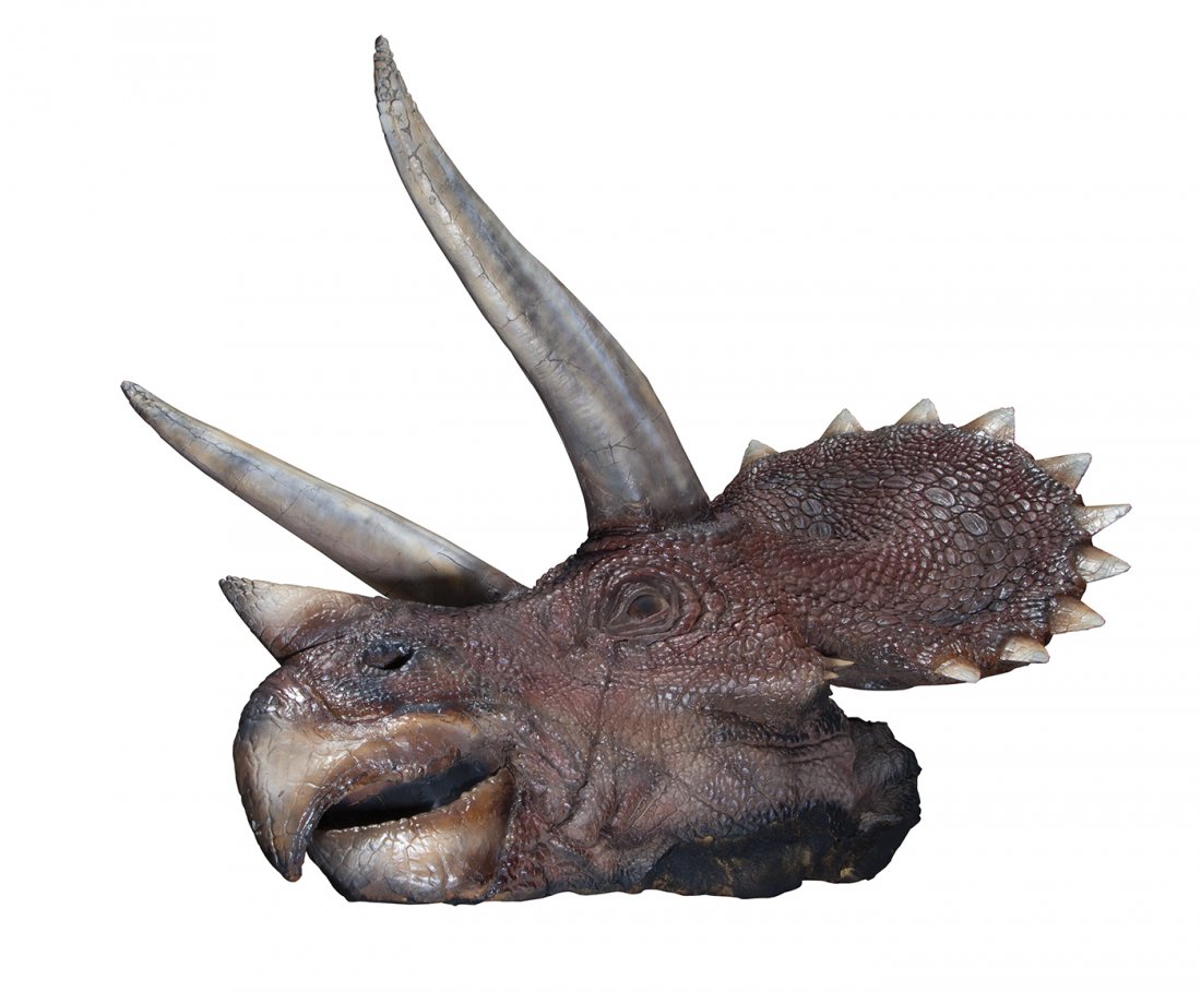 Screen-used Triceratops head from Jurassic Park.