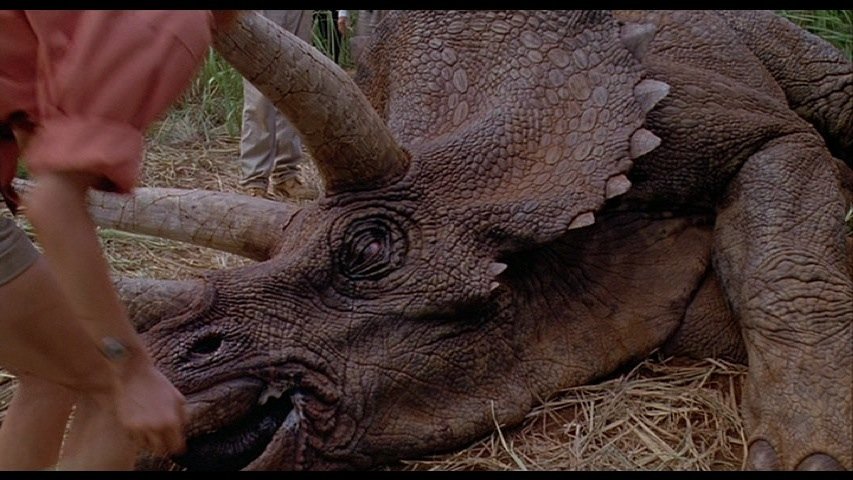 Screen-used Triceratops head from Jurassic Park. - 2