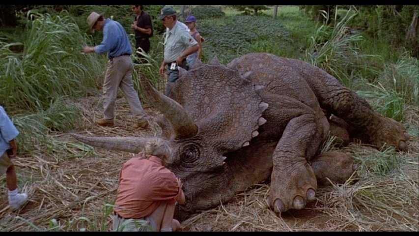Screen-used Triceratops head from Jurassic Park. - 3