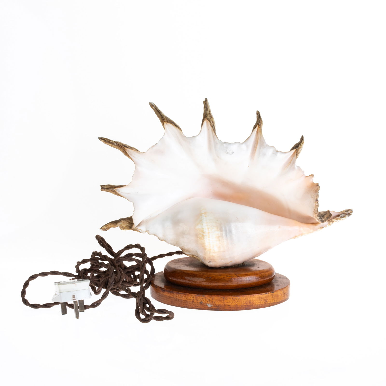 ANTIQUE NAUTICAL MARINE CONCH SHELL LAMP (1 of 6)