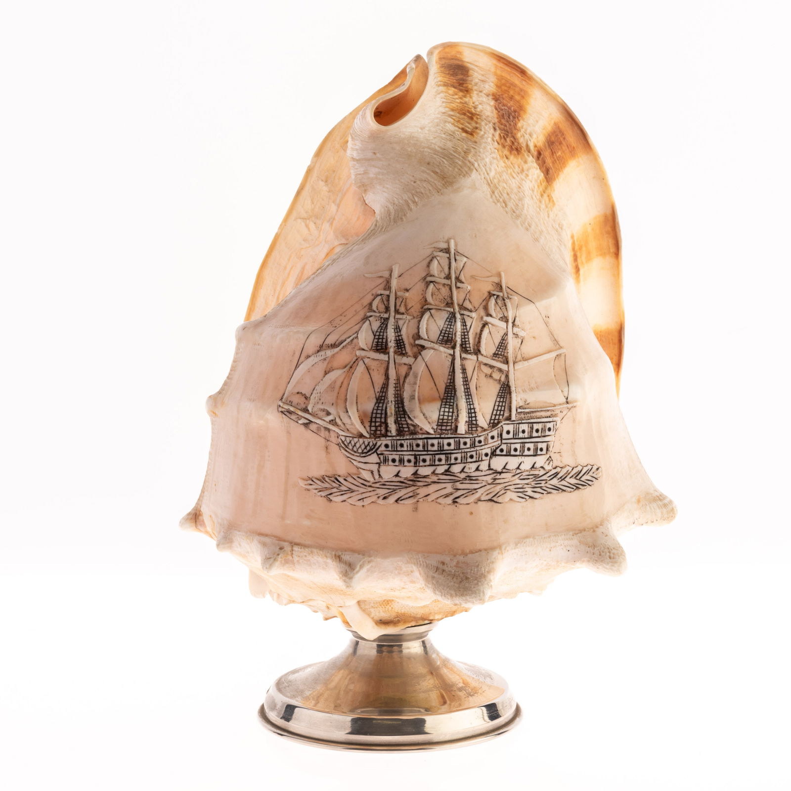 NAUTICAL MARITIME SHIP CONCH SHELL LAMP 19TH CENTURY (1 of 7)