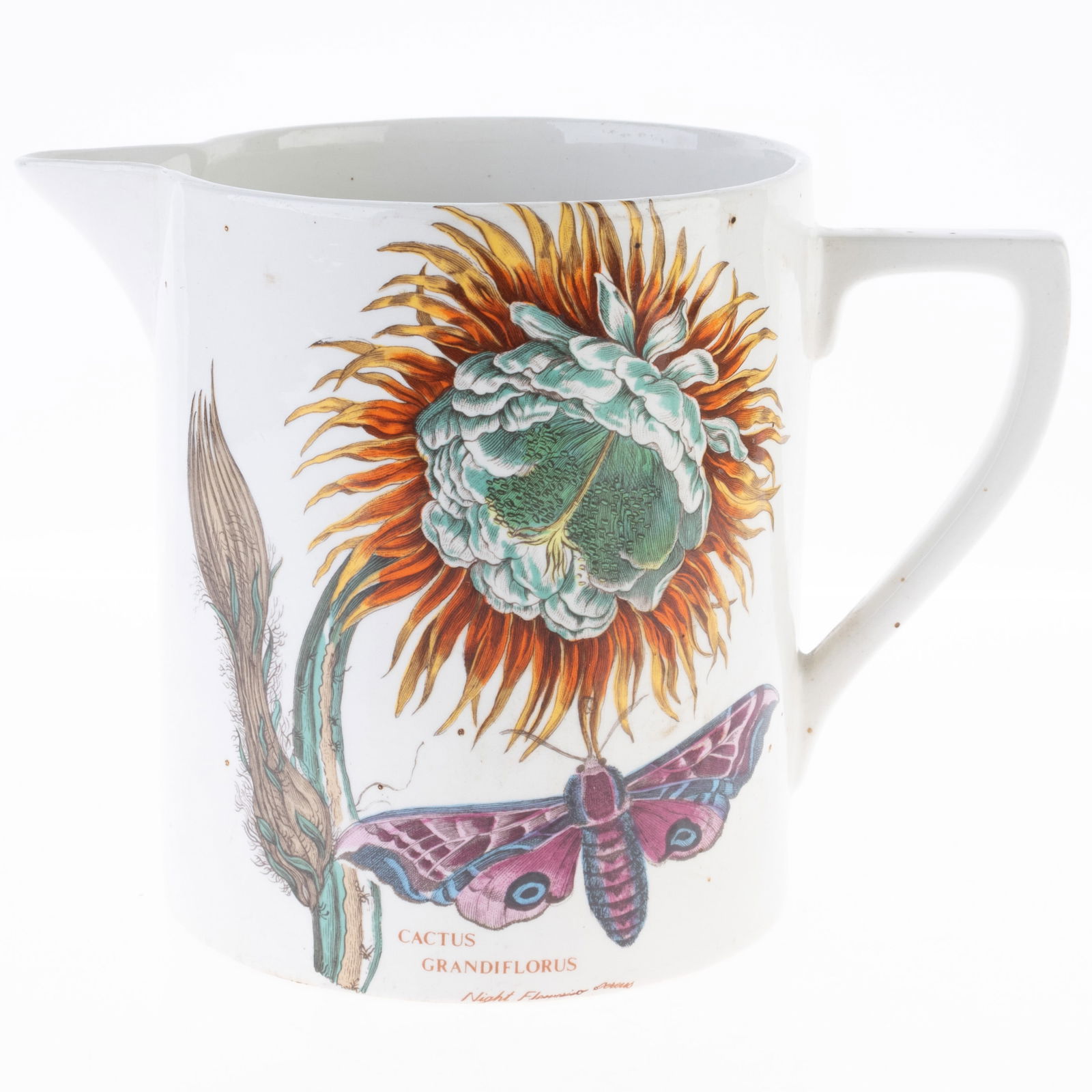 PORTMEIRION WELSH POTTERY CERAMIC BOTANICAL PATTERN CREAMER JUG (1 of 4)