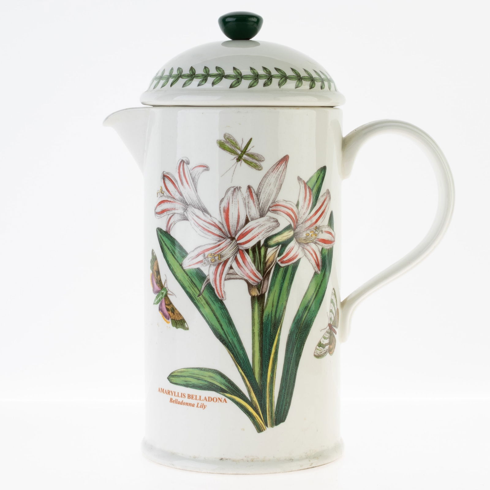 PORTMEIRION WELSH POTTERY CERAMIC BOTANICAL PATTERN TEAPOT (1 of 4)