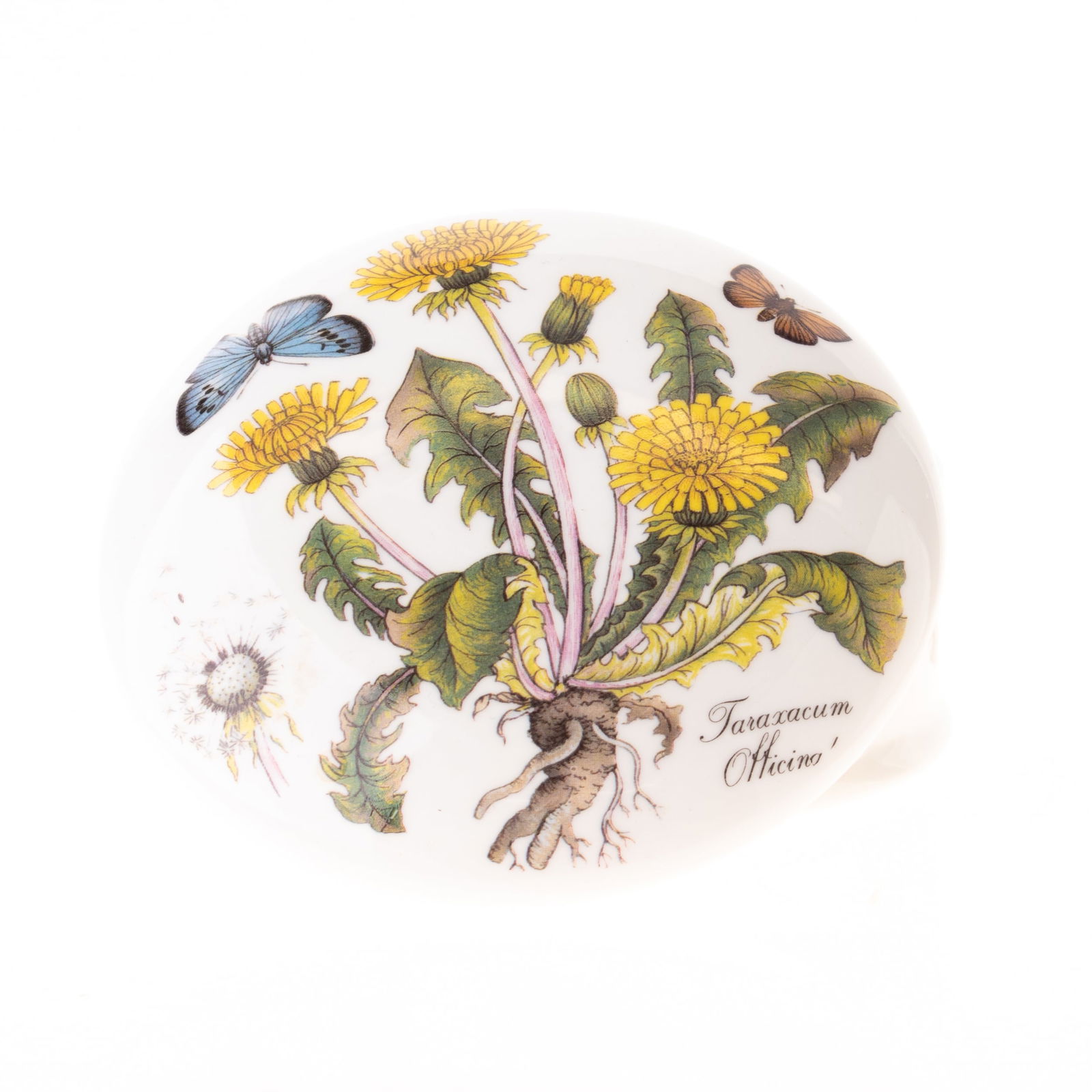 PORCELAIN CERAMIC DANDELIONS & BUTTERFLIES LIDDED TRINKET BOX (1 of 4)