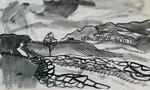 Study of a Welsh Landscape by David Smith. Ink / W/col. Signed & dated 1956: David Smith 1920-1998 Painter using a richly Expressionist palette, draughtsman, printmaker and teacher, born in Lowestoft, Suffolk, where he attended the Technical School, also Lowestoft and Norwich