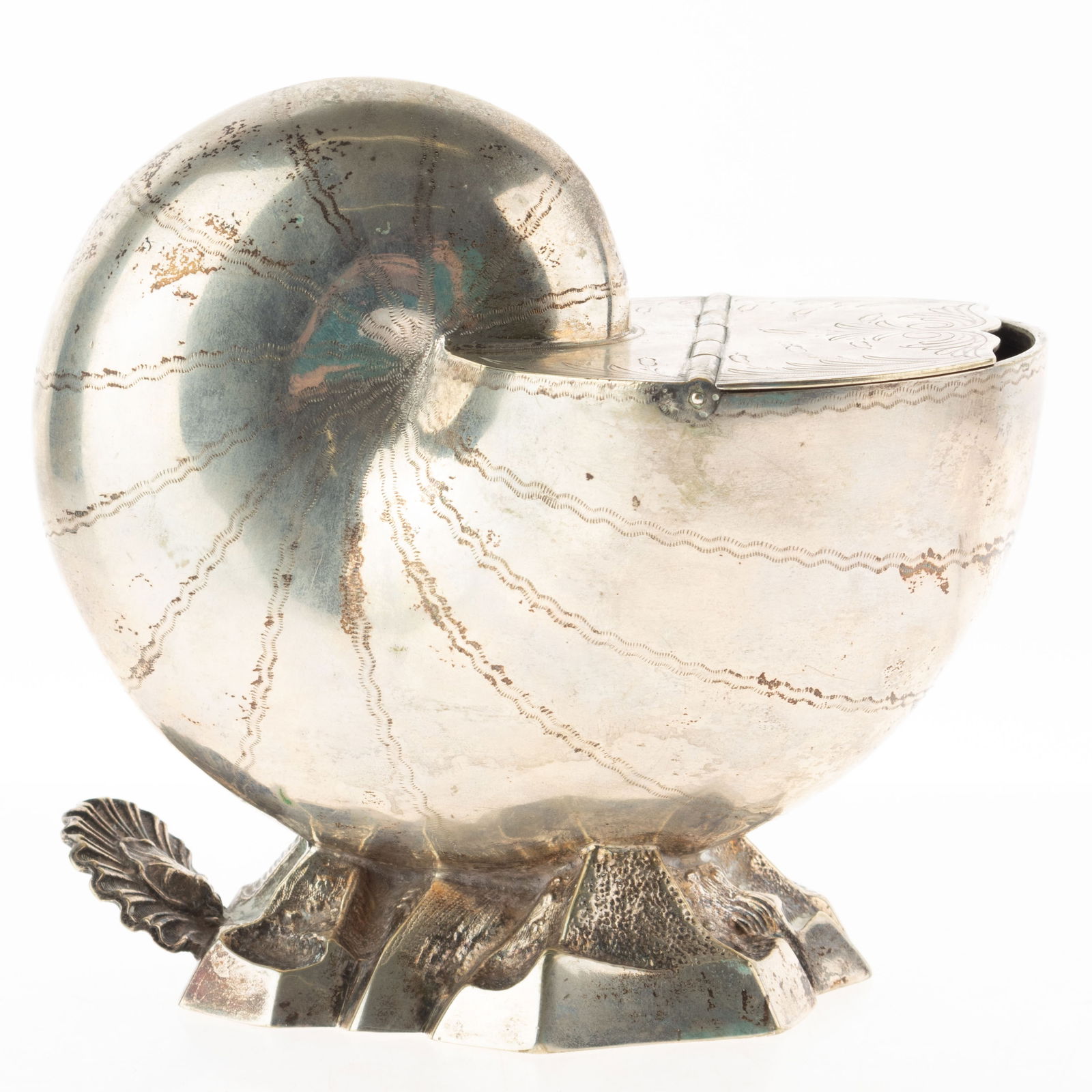 ANTIQUE VICTORIAN SILVER PLATED NAUTILUS SHELL SPOON WARMER (1 of 4)