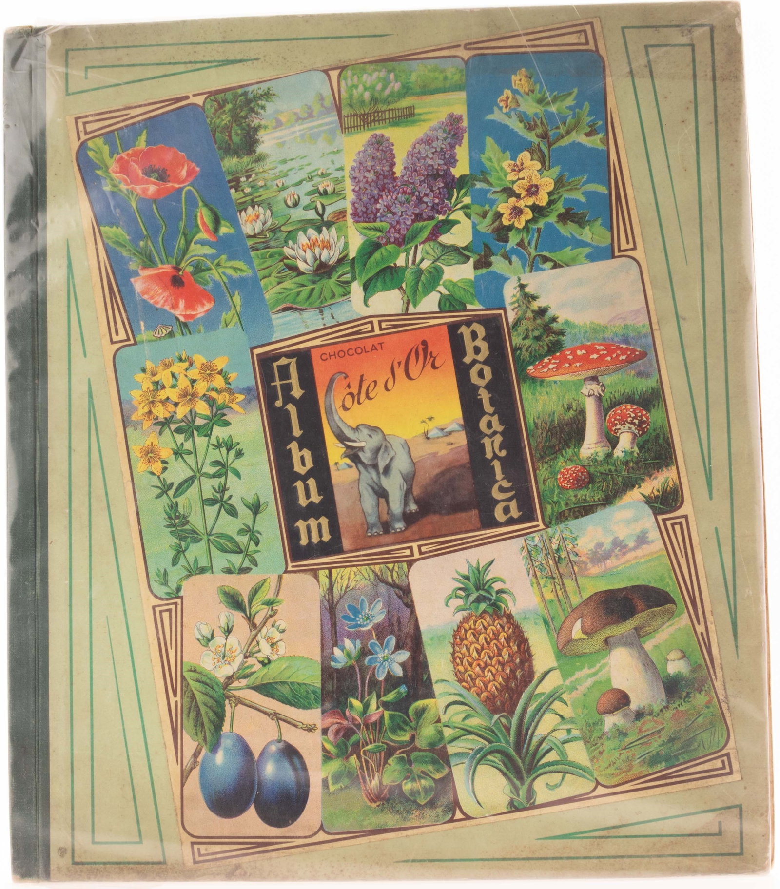 ANTIQUE BELGIAN CHOCOLATE ADVERTISING BOTANICAL STICKER BOOK (COMPLETE): Kindly examine all photographs provided in this listing or ask for a condition report. All items offered are in generally good, pre-owned condition, unless otherwise specifically described, sold as se