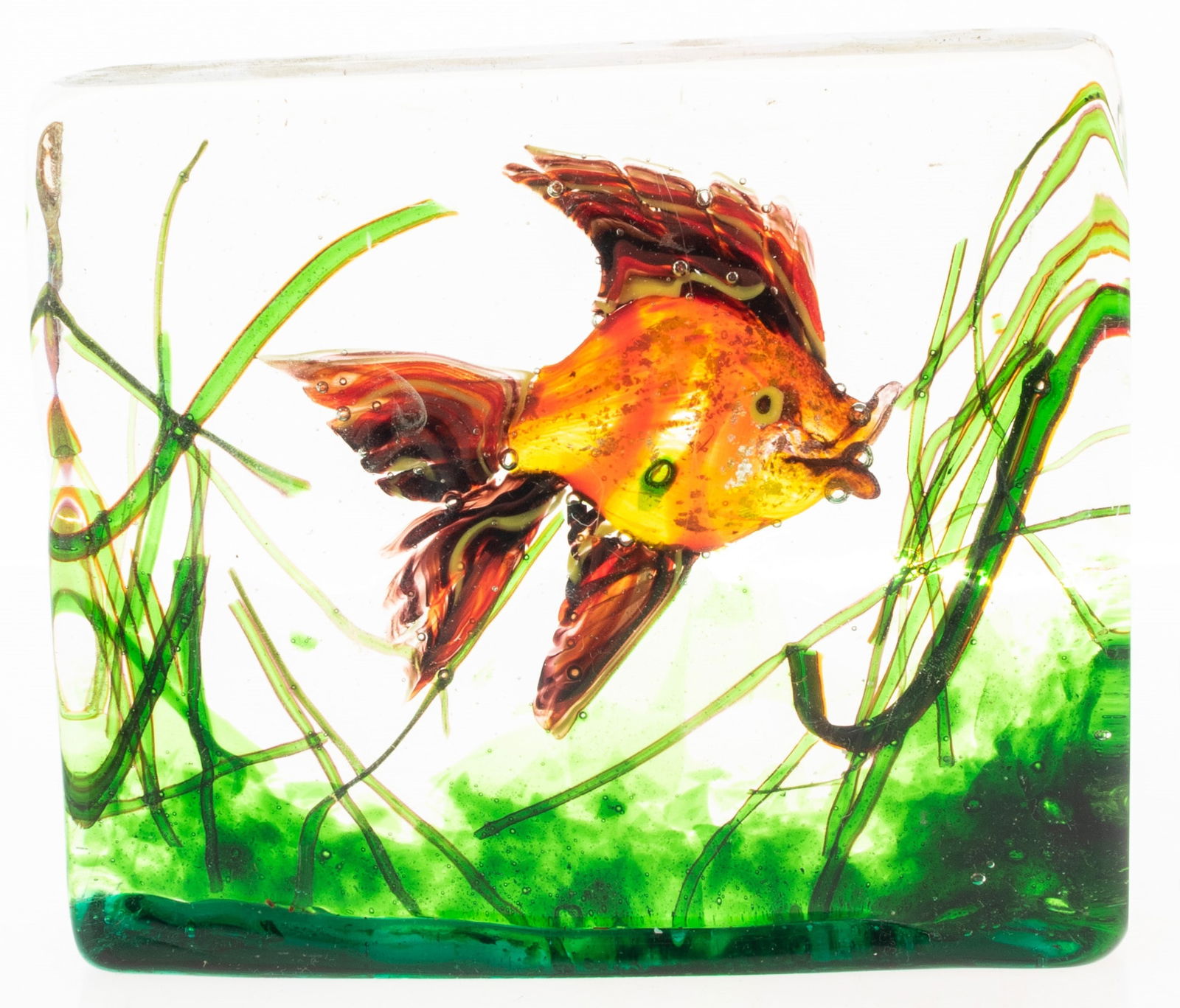 BARBINI CENEDESE HAND BLOWN MURANO VENETIAN GLASS FISH AQUARIUM PAPERWEIGHT (1 of 4)