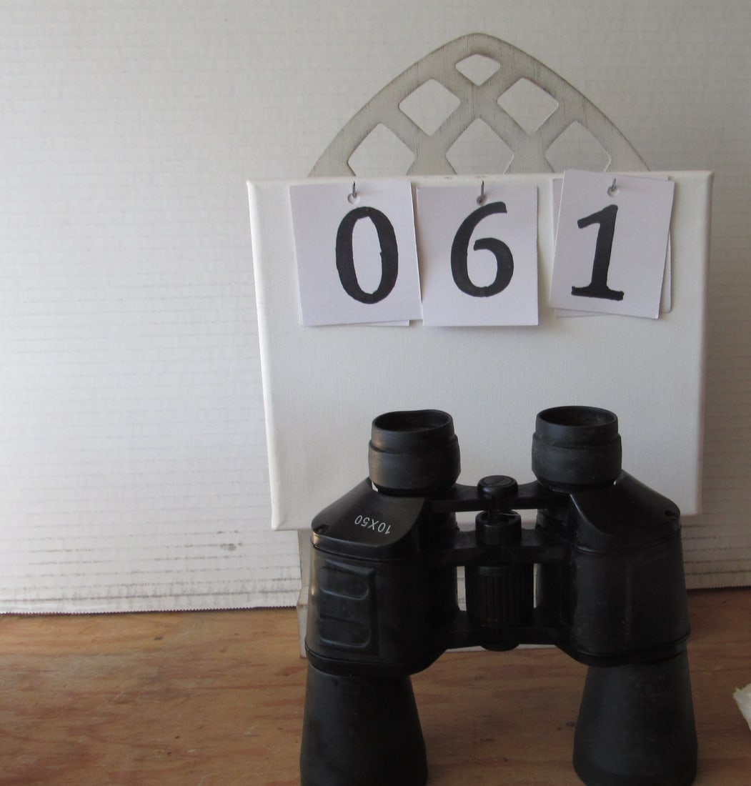 Optic 1050 Binoculars: Up for auction are Optic 1050 Binoculars, ideal for nature enthusiasts and outdoor adventurers. These high-quality binoculars offer clear optics and a robust design, perfect for birdwatching, hiking, 
