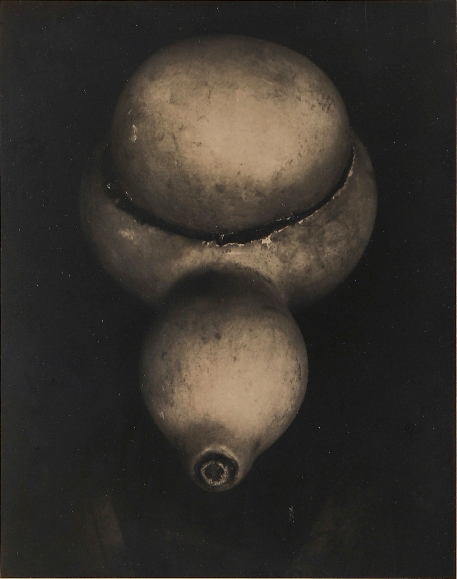 EDWARD WESTON, GOURD, 1927 (1 of 3)
