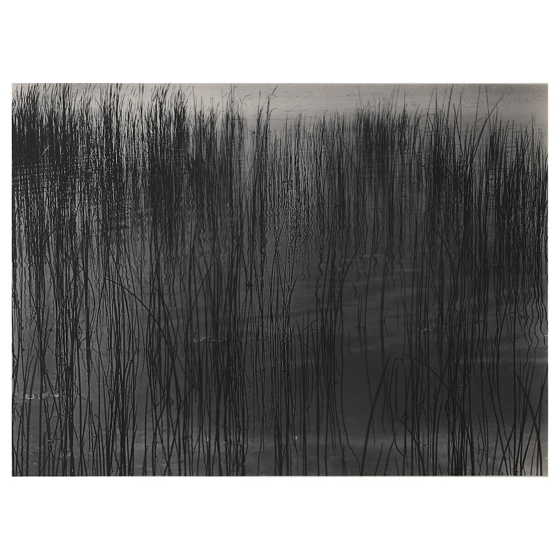 HARRY CALLAHAN (1912–1999) DETROIT: Artist Harry Callahan Title DETROIT (PHOTOGRAPHED BY HARRY CALLAHAN) Medium Gelatin silver print, mounted on board Signature Pencil-signed “Harry Callahan” at the lower right of the photograph