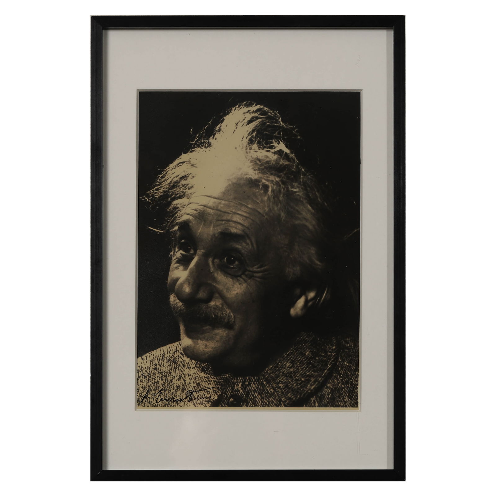 Albert Einstein Portrait - 3
