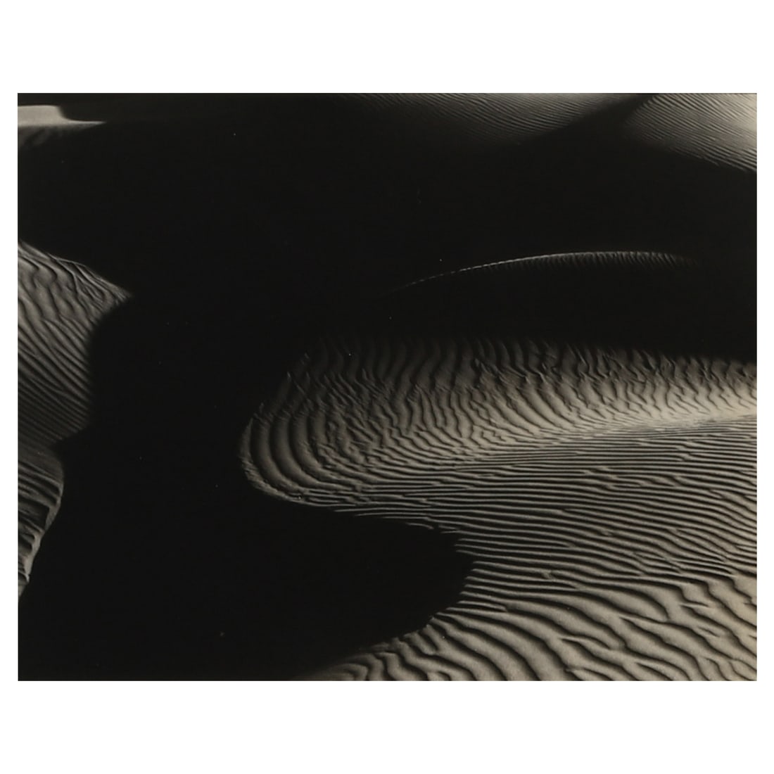 EDWARD WESTON(1886-1958)DUNES, OCEANO (1 of 3)