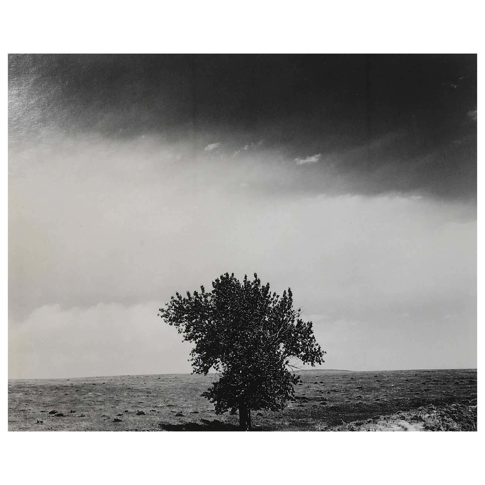 ROBERT ADAMS (B. 1937)PAWNEE NATIONAL GRASSLAND, COLORADO: Artist (B. 1937) Title PAWNEE NATIONAL GRASSLAND, COLORADO Medium Gelatin silver photograph, mounted on board Signature Signed in pencil on the lower right on the reverse Dimensions Photograph: 14