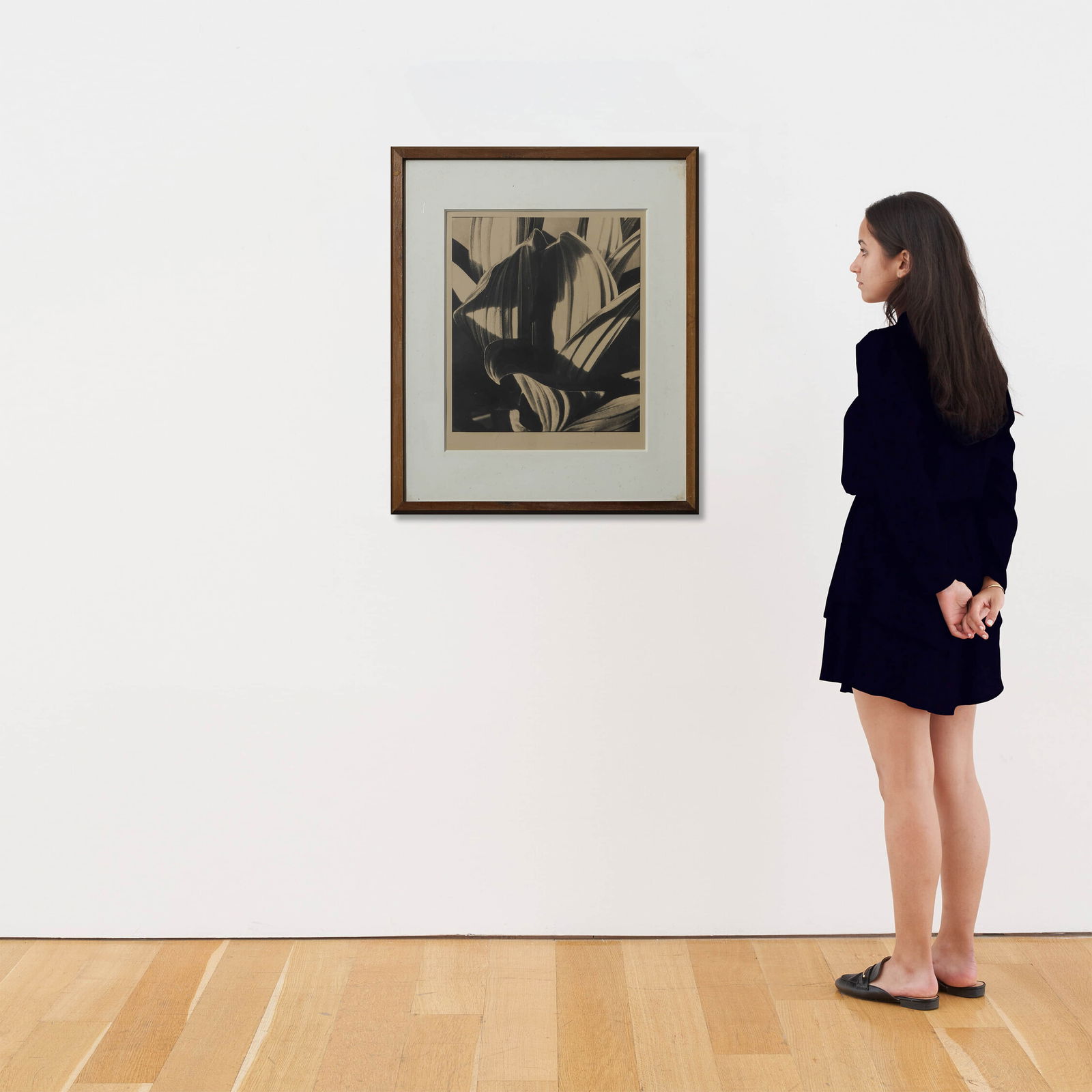 IMOGEN CUNNINGHAM (1883–1976)LEAF PATTERN - 2