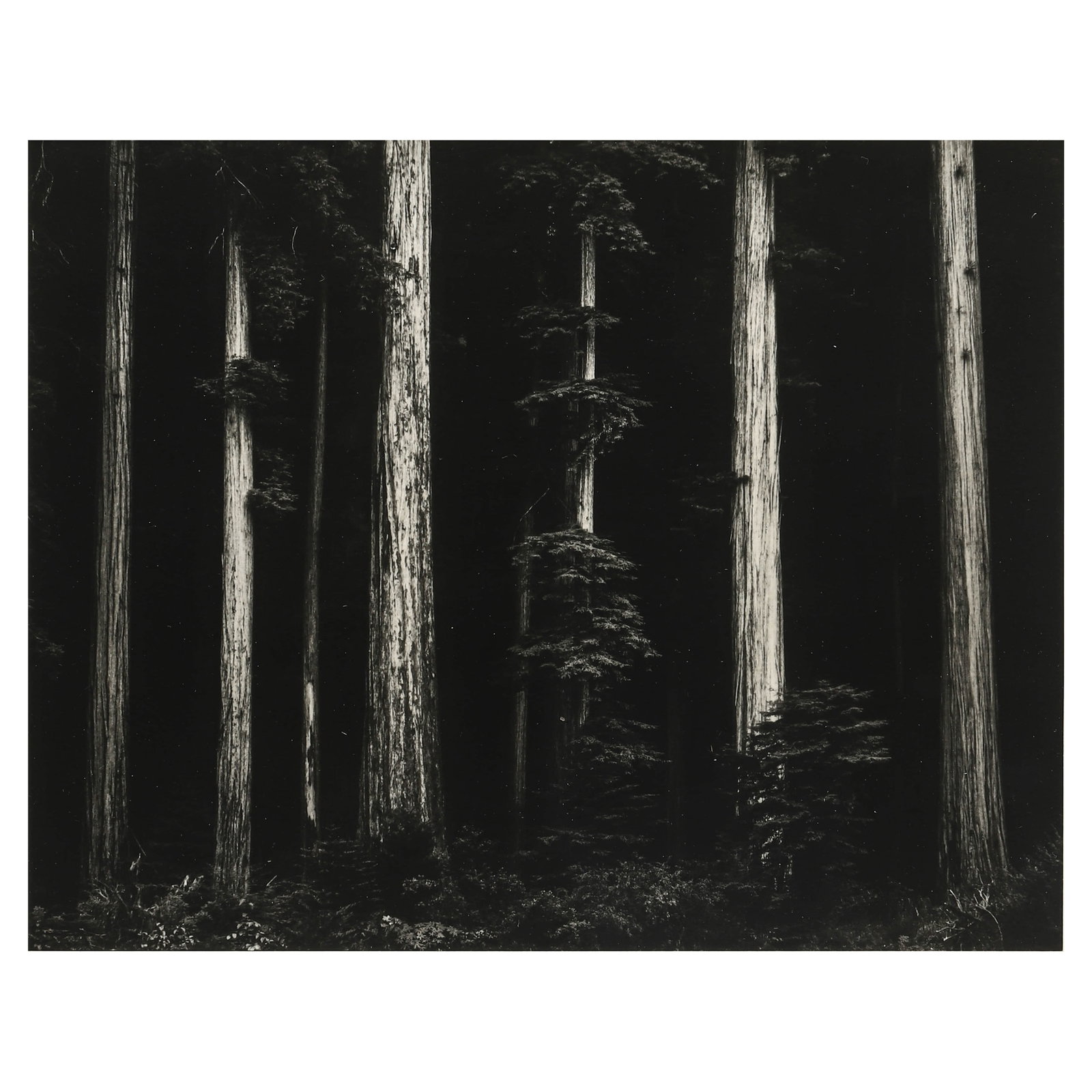 ANSEL ADAMS (1902–1984), PORTFOLIO FOUR: WHAT MAJESTIC WORD, IN MEMORY OF RUSSELL VARIAN (1 of 3)